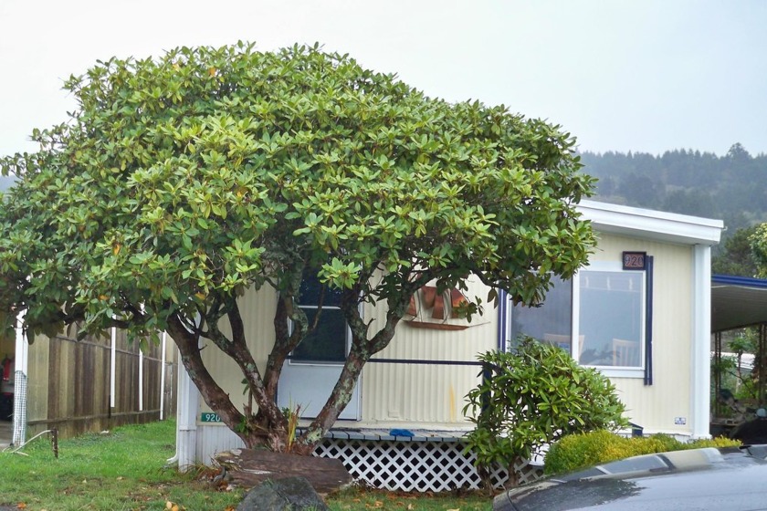 Located in Sunny Smith River, formerly the Ship Ashore Mobile - Beach Home for sale in Crescent City, California on Beachhouse.com