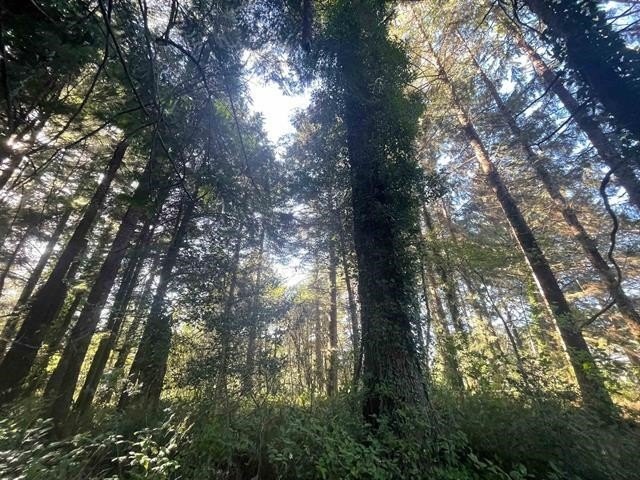 Charming, Secluded Lot with Nature's Beauty - Close to Lake Earl - Beach Lot for sale in Crescent City, California on Beachhouse.com