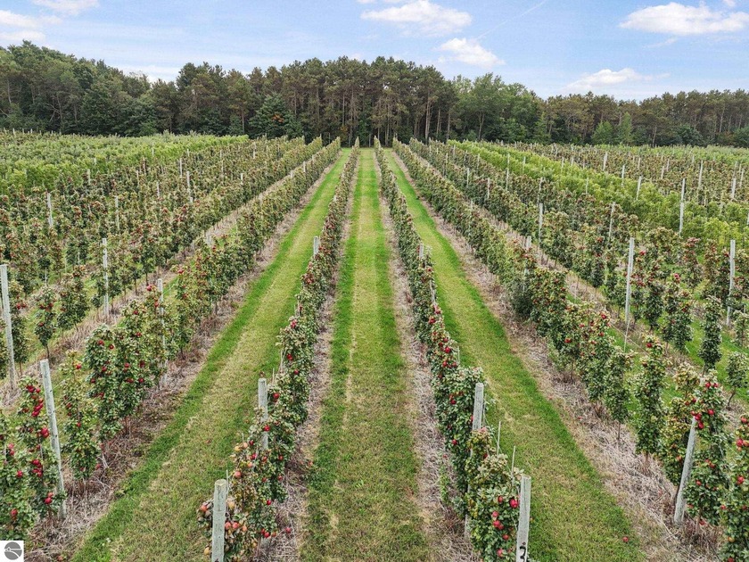 An apple a day in LEELANAU COUNTY keeps the doctor away!  Rare - Beach Acreage for sale in Empire, Michigan on Beachhouse.com