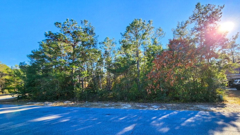 This lot is a must see! Located in desirable Holley By The Sea - Beach Lot for sale in Navarre, Florida on Beachhouse.com