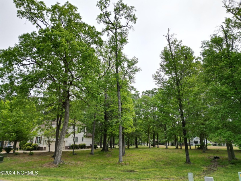 Beautiful, level, .29 acre lot, ready for your new home build in - Beach Lot for sale in Hertford, North Carolina on Beachhouse.com