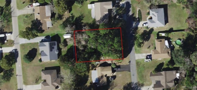 This .34-acre vacant land, situated near the stunning Plantation - Beach Lot for sale in Crystal River, Florida on Beachhouse.com