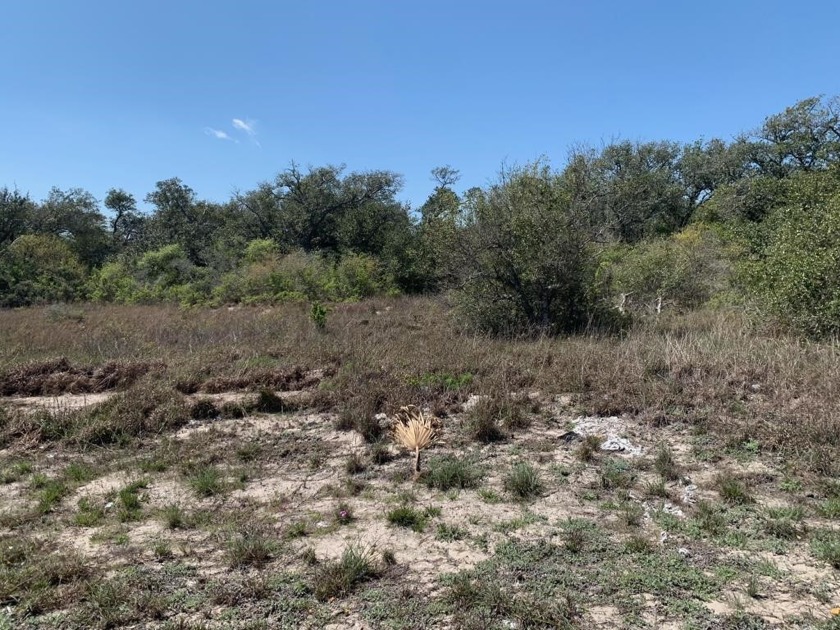 Absolutely stunning! This 2-acre parcel of undeveloped land - Beach Acreage for sale in Rockport, Texas on Beachhouse.com