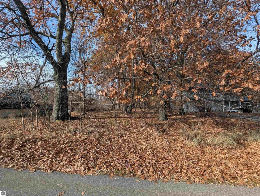 Vacant wooded potential building site nearby public sandy beach - Beach Lot for sale in Au Gres, Michigan on Beachhouse.com