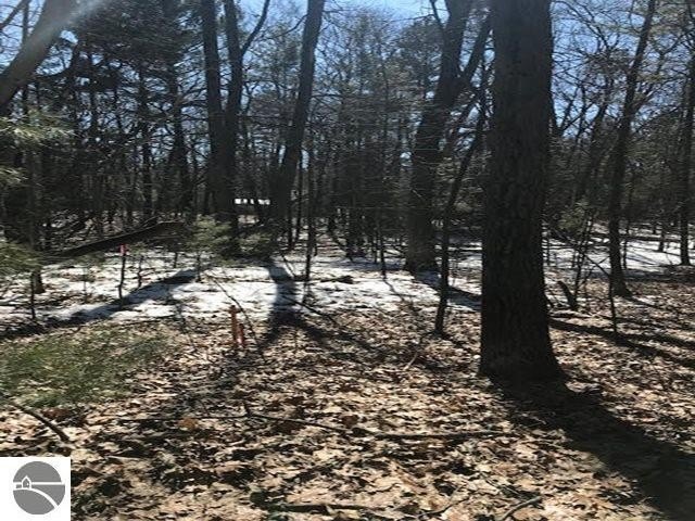Within walking distance to Lake Huron Access, this 2.2 acre lot - Beach Acreage for sale in Au Gres, Michigan on Beachhouse.com