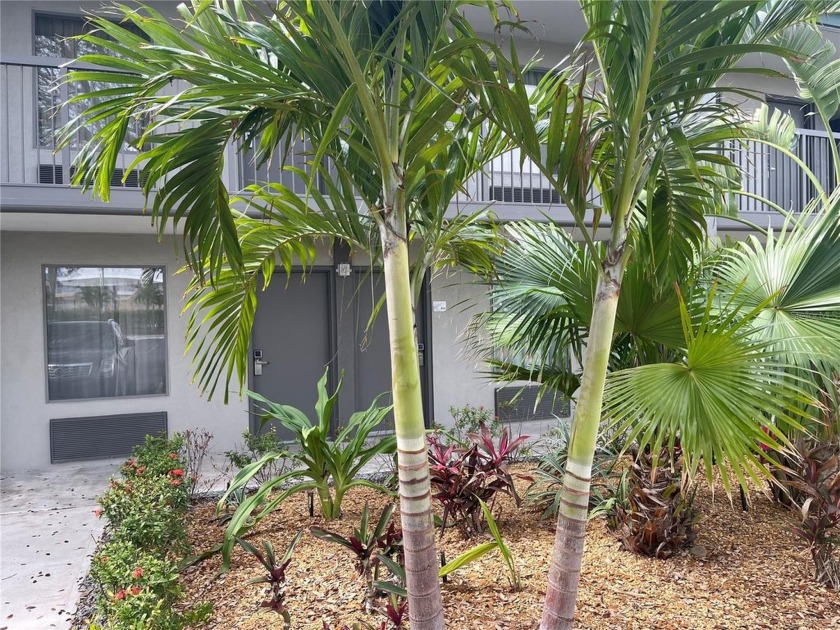 $20,000 PRICE ADJUSTMENT....now is the time to *wrap up* this - Beach Condo for sale in Sarasota, Florida on Beachhouse.com