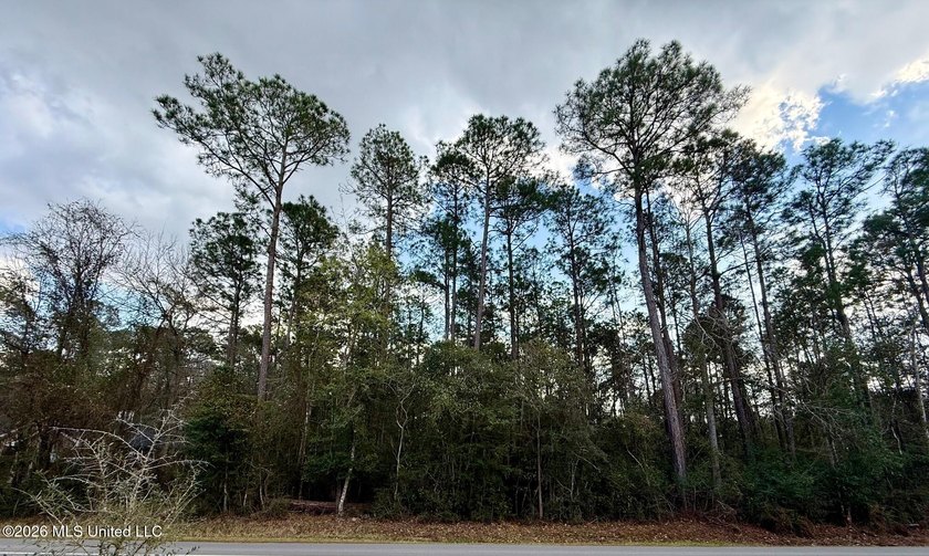 Rare opportunity to own a generous double lot with 160 feet of - Beach Lot for sale in Diamondhead, Mississippi on Beachhouse.com