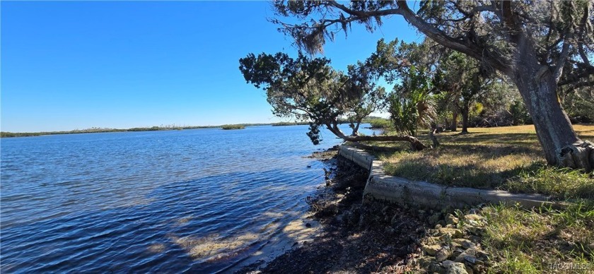 Looking for that rare piece of open water view in the beautiful - Beach Lot for sale in Crystal River, Florida on Beachhouse.com