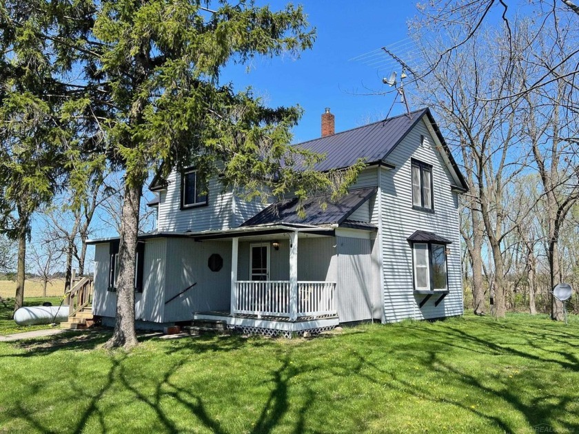 Charming 1900's spacious farmhouse with circle driveway & - Beach Home for sale in Carsonville, Michigan on Beachhouse.com