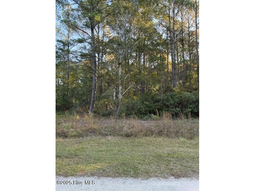 This beautiful lot is located in the very desirable community of - Beach Lot for sale in Ocean Isle Beach, North Carolina on Beachhouse.com