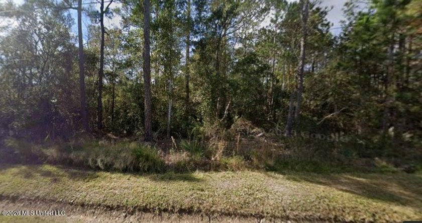 Two waterfront lots being sold together -- total 100' x 100' - Beach Lot for sale in Bay Saint Louis, Mississippi on Beachhouse.com