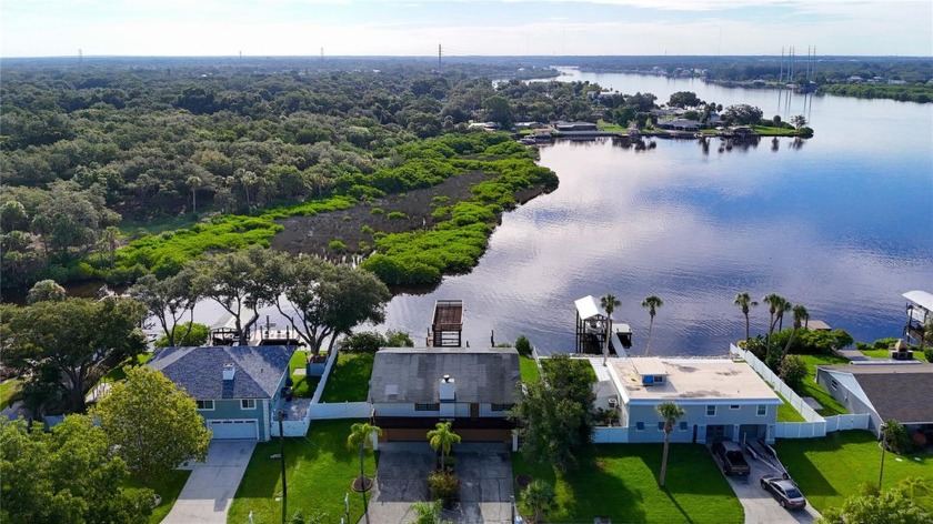 BREATHTAKING VIEWS of the ALAFIA RIVER FROM multiple rooms of - Beach Home for sale in Riverview, Florida on Beachhouse.com