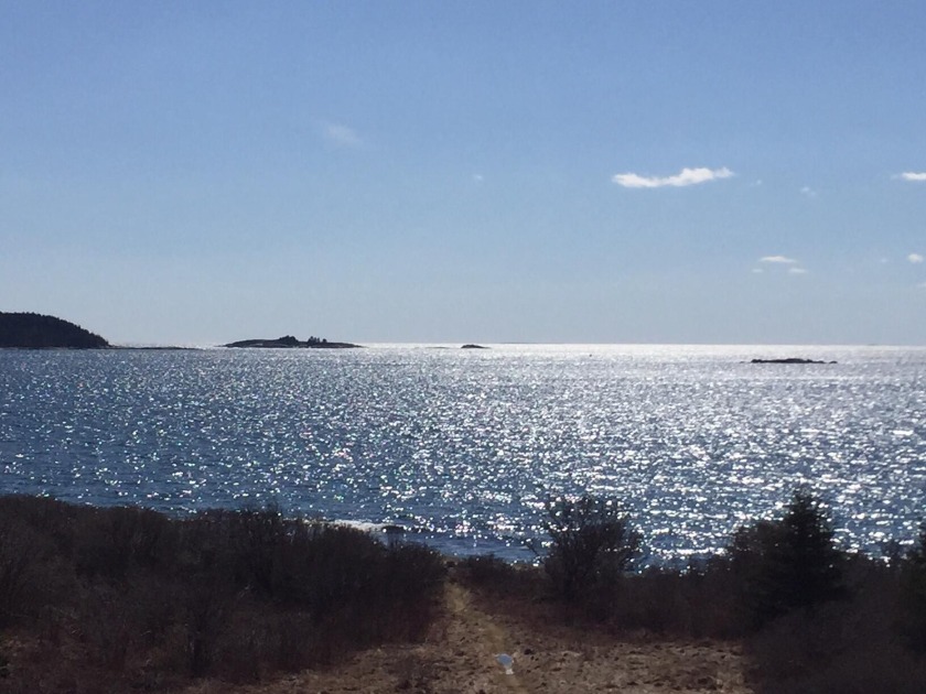 2 Acre lot with 400' deep water frontage with limited - Beach Acreage for sale in Vinalhaven, Maine on Beachhouse.com