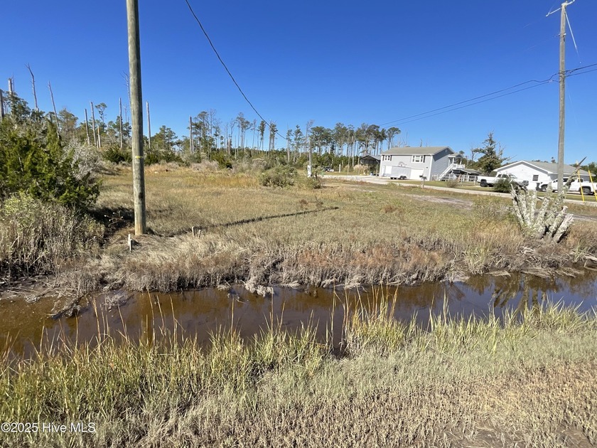 Your Coastal Canvas Awaits in Davis, NC! Imagine owning a piece - Beach Lot for sale in Davis, North Carolina on Beachhouse.com