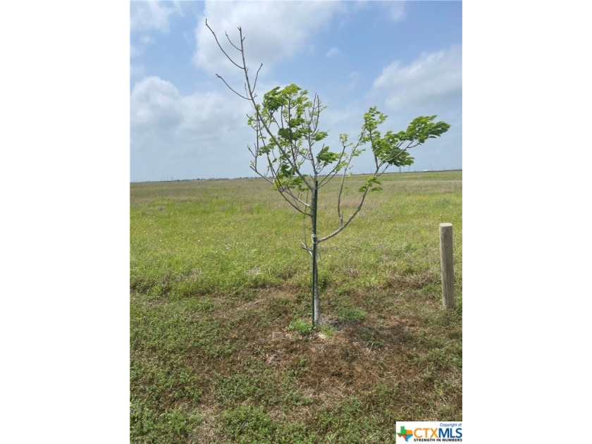 Come home to Bay Point. Here is the perfect place to build your - Beach Acreage for sale in Port Lavaca, Texas on Beachhouse.com