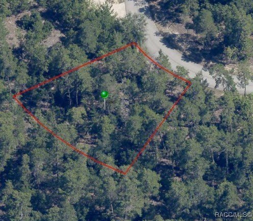 For just $35K, this .28 wooded lot, nestled on a quiet - Beach Lot for sale in Homosassa, Florida on Beachhouse.com