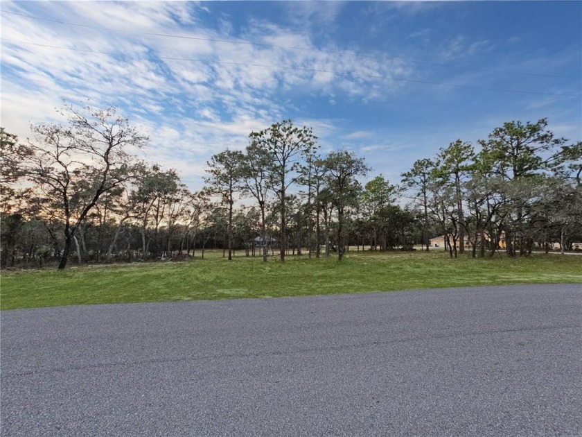 New to the market! Come take a look at this oversized corner lot - Beach Lot for sale in Weeki Wachee, Florida on Beachhouse.com