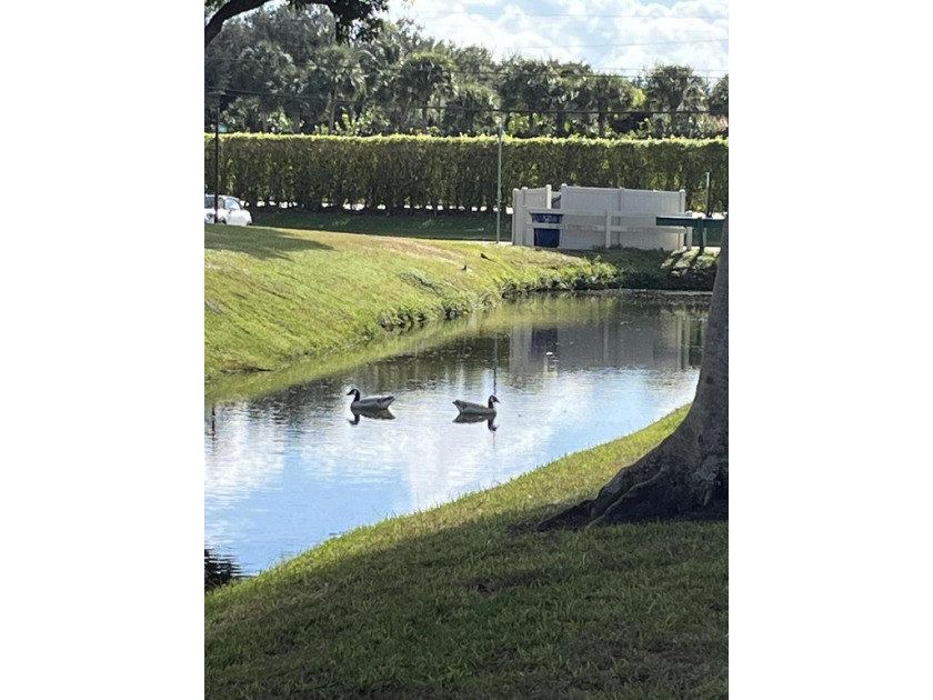 Very peaceful and serene canal/garden view from your first floor - Beach Condo for sale in Delray Beach, Florida on Beachhouse.com