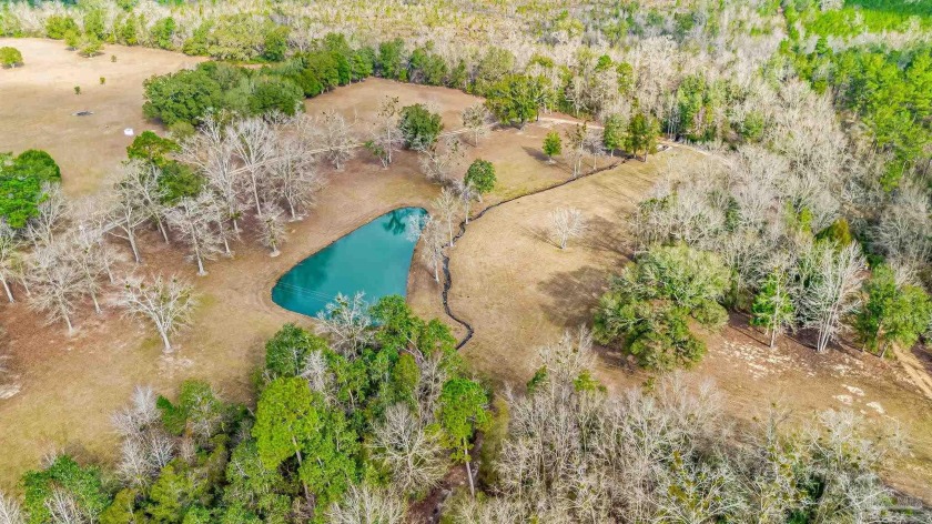 This remarkable 58 acre parcel is an incredible opportunity for - Beach Home for sale in Milton, Florida on Beachhouse.com