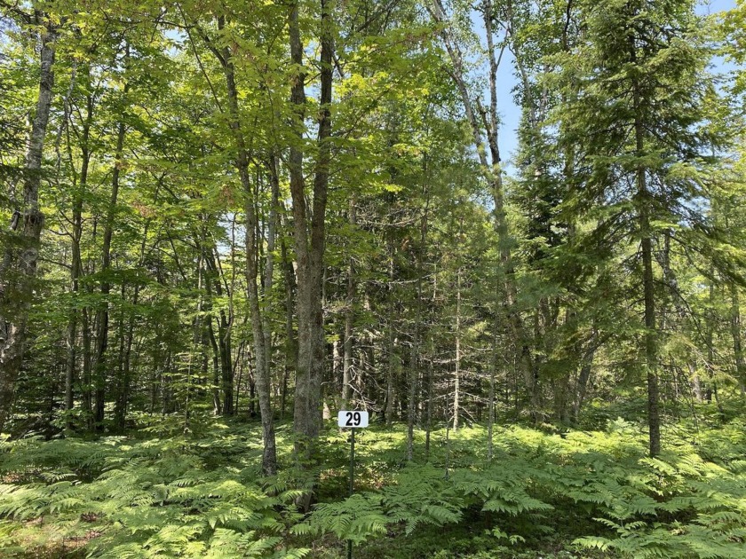 These lots can be accessed directly on Whitefish Point Rd or via - Beach Lot for sale in Paradise, Michigan on Beachhouse.com