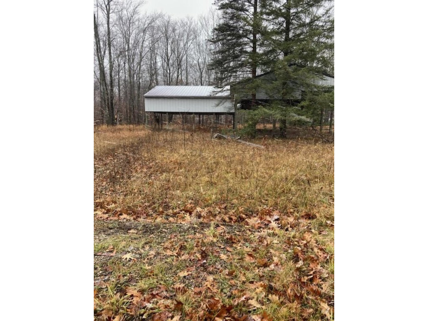 Vacant land with incomplete structure almost ready to build on - Beach Lot for sale in Carp Lake, Michigan on Beachhouse.com