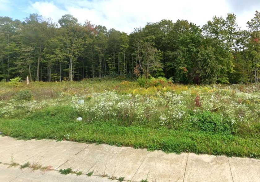 Large vacant lot along the ravine and located in Royalton - Beach Lot for sale in Saint Joseph, Michigan on Beachhouse.com
