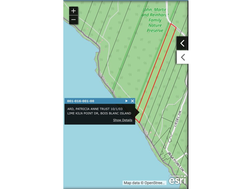 Fabulous West end parcel with view of Mackinac Bridge! 300' of - Beach Lot for sale in Bois Blanc Island, Michigan on Beachhouse.com