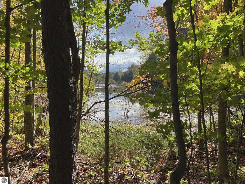 This scenic 7.74 acre property offers a peaceful up-north - Beach Acreage for sale in Traverse City, Michigan on Beachhouse.com