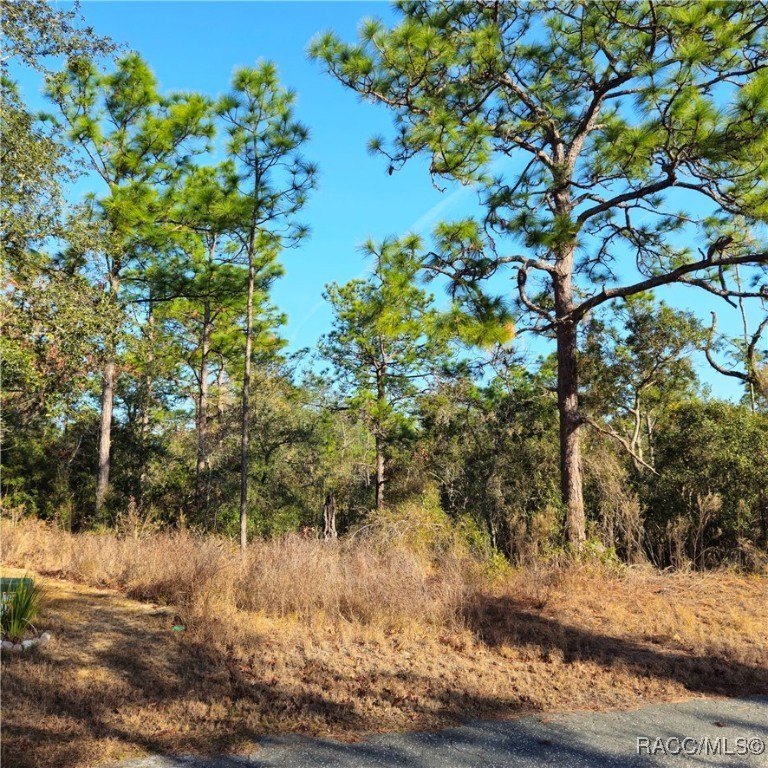 Build the home of your dreams in desirable Sugarmill Woods and - Beach Lot for sale in Homosassa, Florida on Beachhouse.com