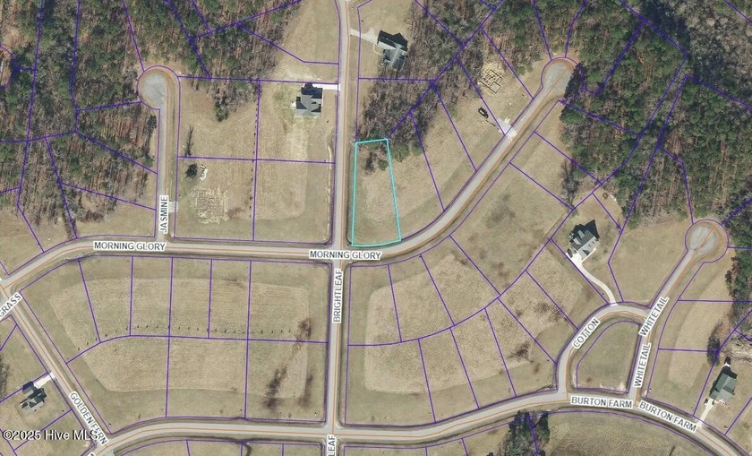 Entered as sale - Beach Lot for sale in Minnesott Beach, North Carolina on Beachhouse.com