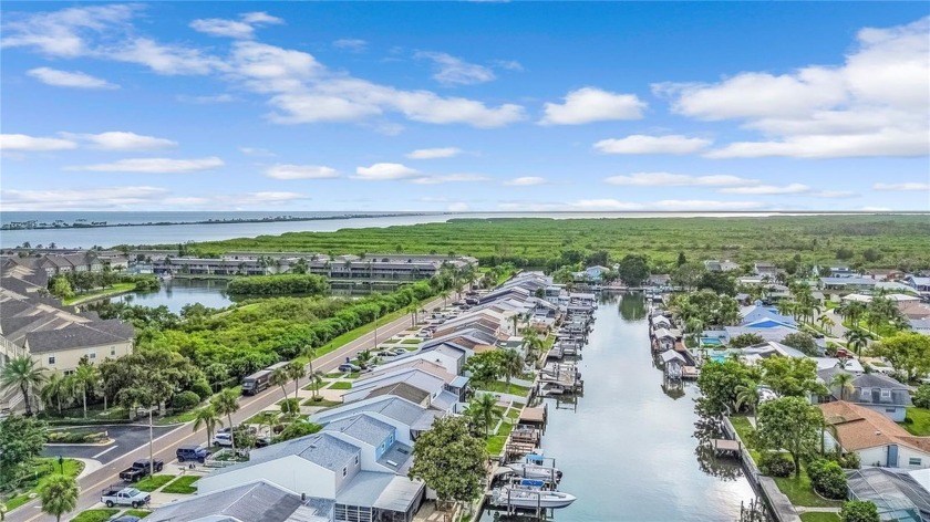 Welcome to your new WATERFRONT home in the centrally located Bay - Beach Townhome/Townhouse for sale in Tampa, Florida on Beachhouse.com