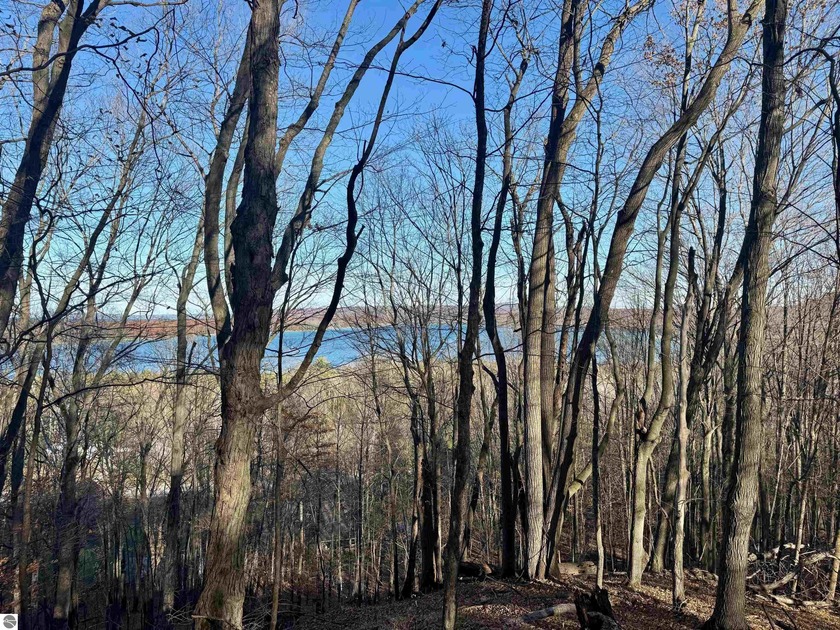 Positioned along iconic M-22 in a prime location--this parcel is - Beach Acreage for sale in Maple City, Michigan on Beachhouse.com