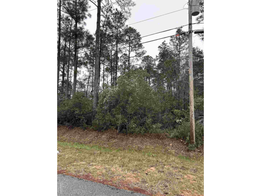 Build your dream home on this wooded lot in Holley By the Sea - Beach Lot for sale in Navarre, Florida on Beachhouse.com