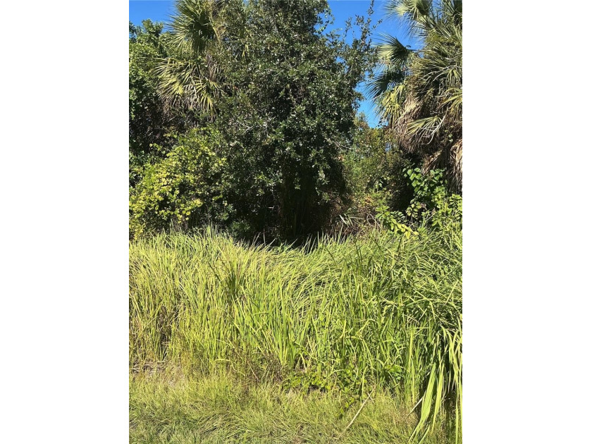 Looking for the perfect spot to build your dream home? This - Beach Lot for sale in North Port, Florida on Beachhouse.com