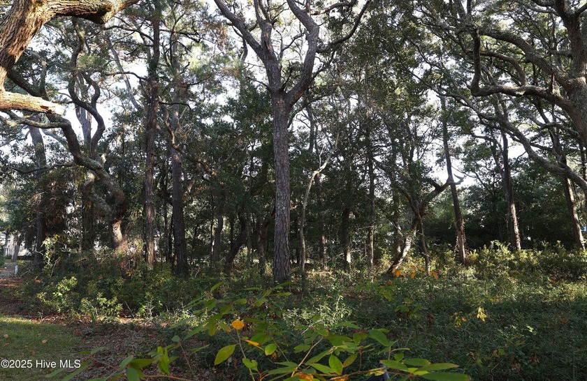 Perfect opportunity to build your dream home on Oak Island. This - Beach Lot for sale in Oak Island, North Carolina on Beachhouse.com