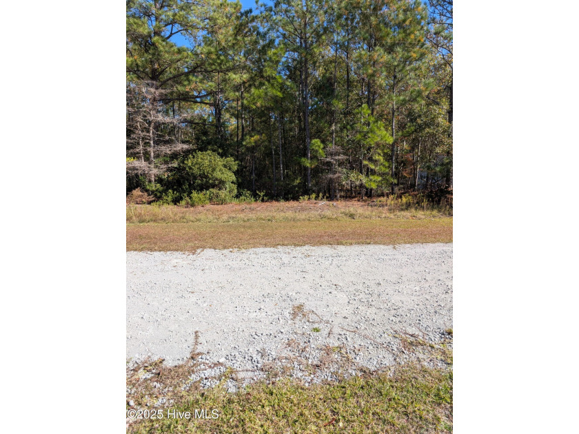 Are you looking for a lot to put a manufactured home on? Only a - Beach Lot for sale in Shallotte, North Carolina on Beachhouse.com