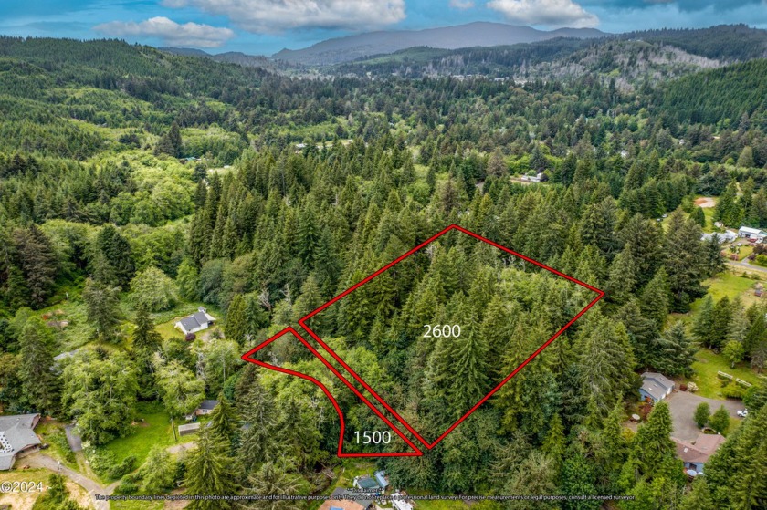 Choice old-growth forest acreage and additional lot with Bear - Beach Acreage for sale in Otis, Oregon on Beachhouse.com