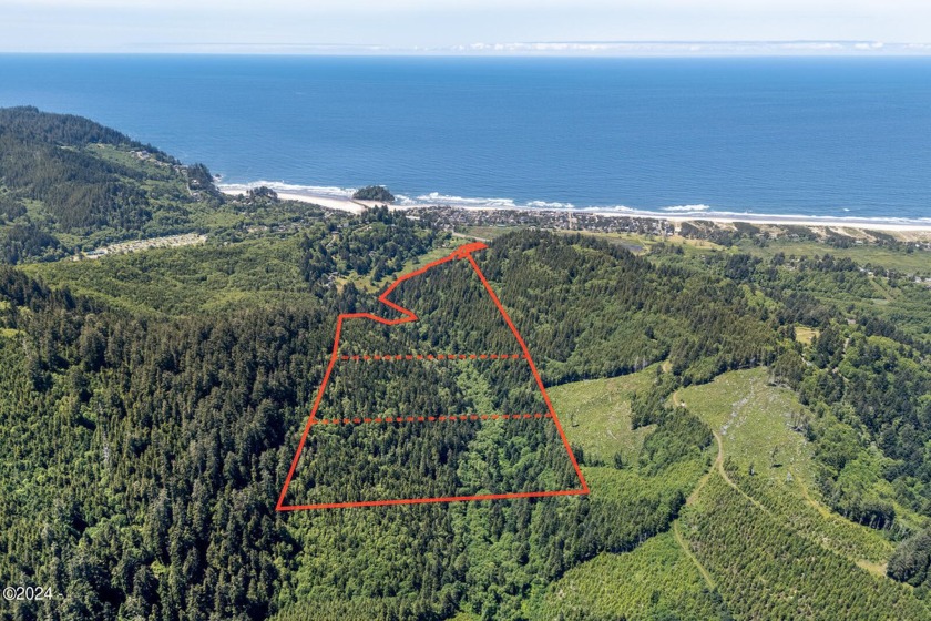 Unveil the endless possibilities with this expansive 96-acre - Beach Acreage for sale in Neskowin, Oregon on Beachhouse.com
