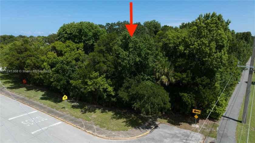 3 Parcels in total FOR SALE. 2.16 Acres all 3 parcels together - Beach Acreage for sale in Daytona Beach, Florida on Beachhouse.com