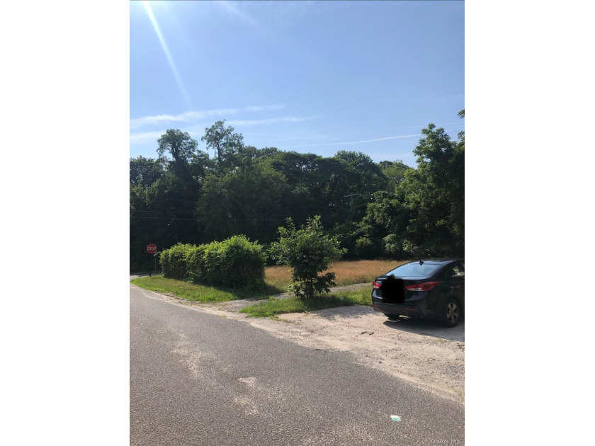 Don't Miss This Opportunity To Own This 80x100 Lot To Build Your - Beach Lot for sale in Mastic Beach, New York on Beachhouse.com
