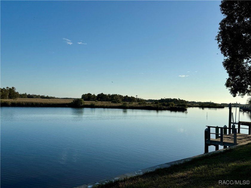 Waterfront living at its best with a spectacular view - Beach Condo for sale in Crystal River, Florida on Beachhouse.com