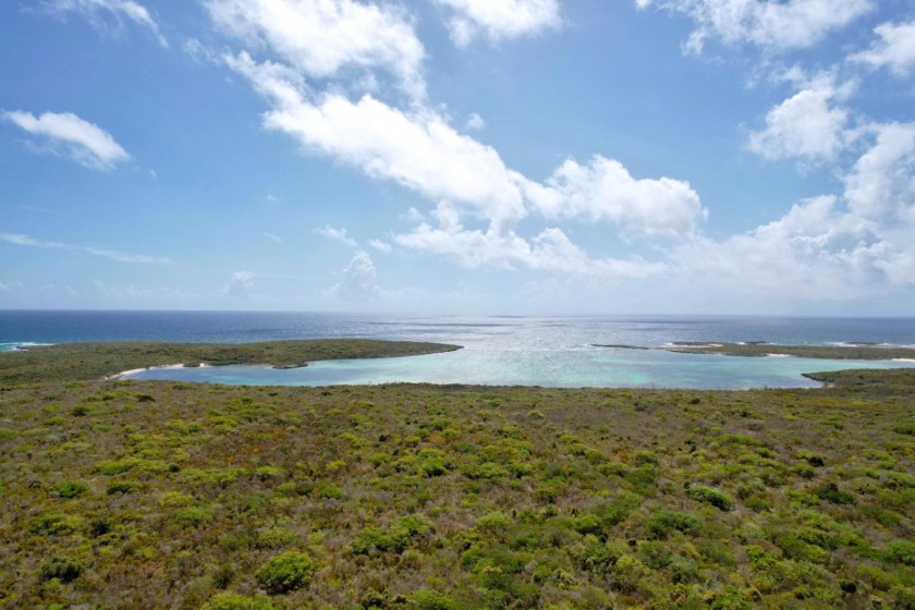 This 289-acre parcel is located in the Southern end of Long - Beach Acreage for sale in Cabbage Point Settlement, Bahamas on Beachhouse.com