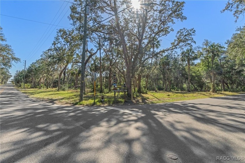Beautiful buildable lot on the corner of Mason Creek and - Beach Lot for sale in Homosassa, Florida on Beachhouse.com