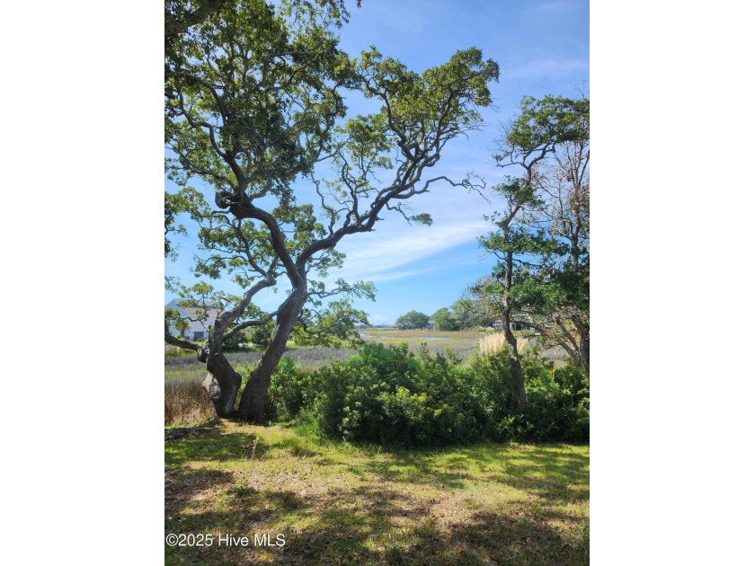 Ready to build with installed 3 BR septic. Marsh front lot in - Beach Lot for sale in Supply, North Carolina on Beachhouse.com