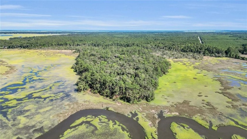 Incredible opportunity to own your own marsh front plantation - Beach Acreage for sale in Shellman Bluff, Georgia on Beachhouse.com