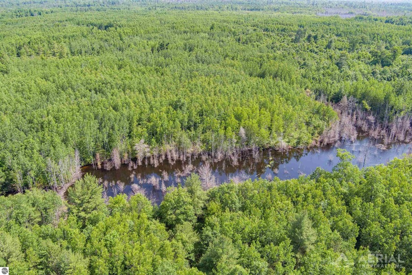 Whether you're in the market for hunting land or investment - Beach Acreage for sale in Rogers City, Michigan on Beachhouse.com