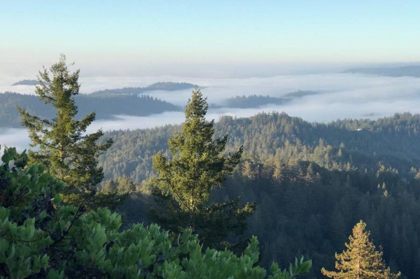 This 23-acre hidden gem is home to majestic oak trees, ancient - Beach Acreage for sale in Boulder Creek, California on Beachhouse.com