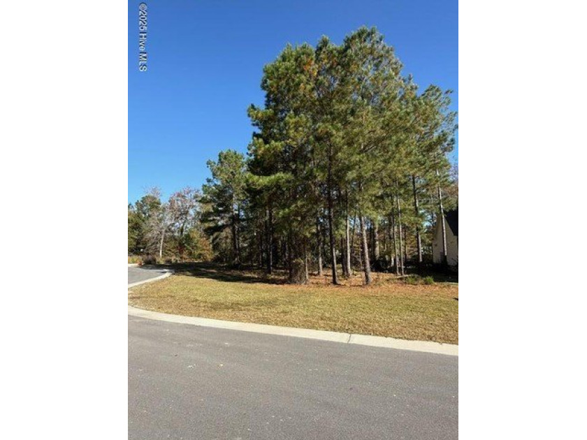 This beautiful lot is located inside The Bluffs on the Cape Fear - Beach Lot for sale in Leland, North Carolina on Beachhouse.com
