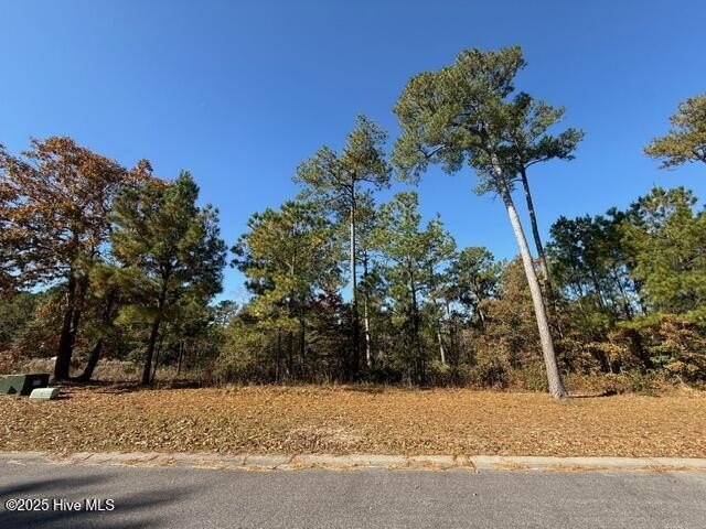 This beautiful lot is located inside The Bluffs on the Cape Fear - Beach Lot for sale in Leland, North Carolina on Beachhouse.com
