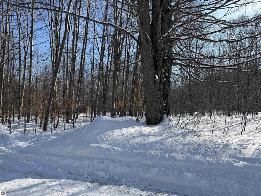 Are you ready for summer?  Buy now so you can start building - Beach Lot for sale in Ellsworth, Michigan on Beachhouse.com